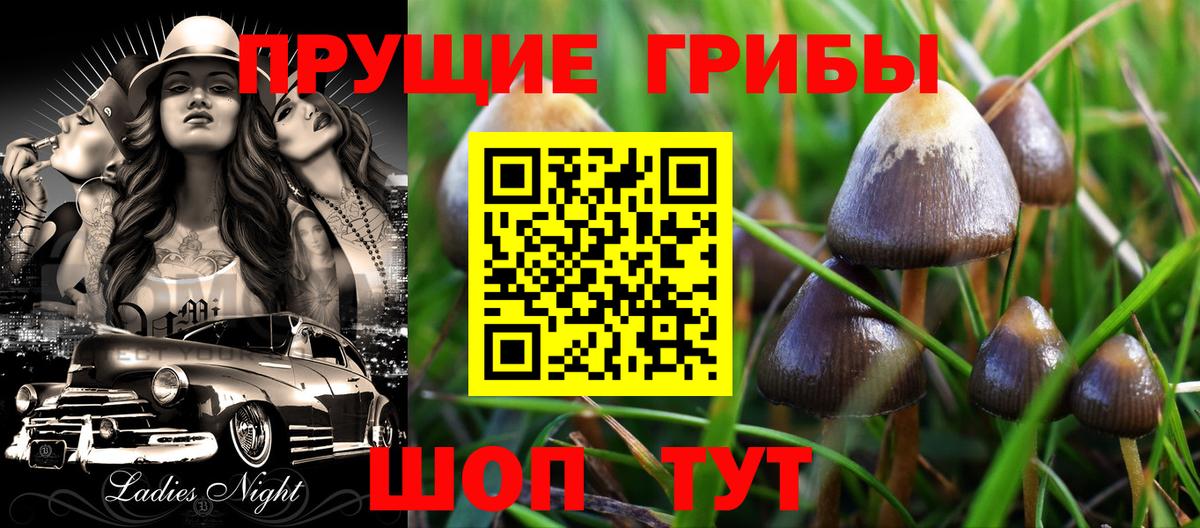 Галлюциногенные грибы Psilocybine cubensis  Вход с VPN  где купить   Галлюциногенные грибы Cubensis  Североморск 